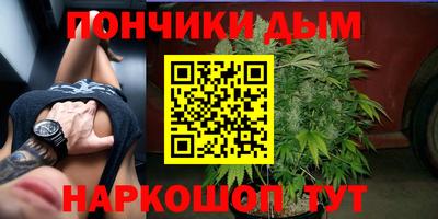 альфа пвп Владикавказ