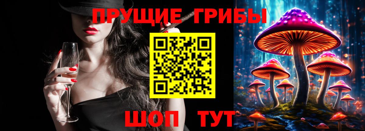 Черняховск  Галлюциногенные грибы Psilocybe  как найти наркотики  Вход с VPN 